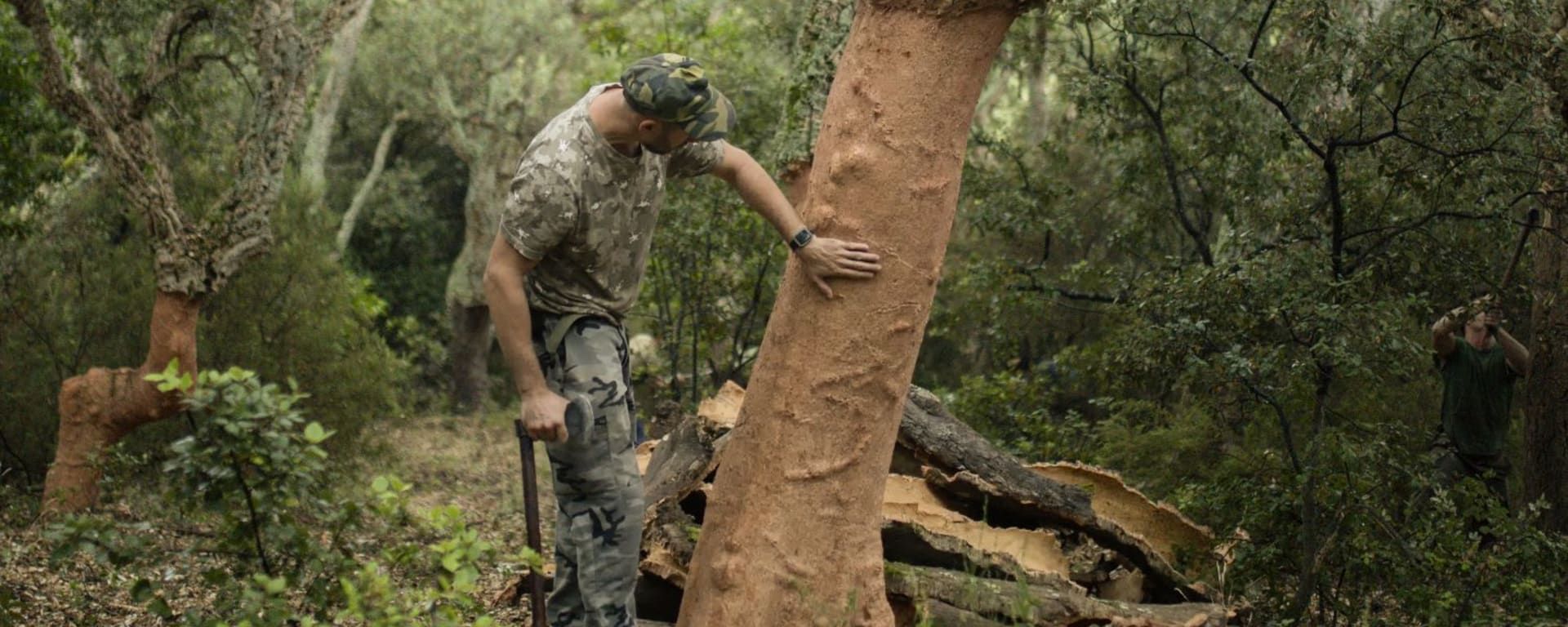 We moeten waarde uit het bos halen