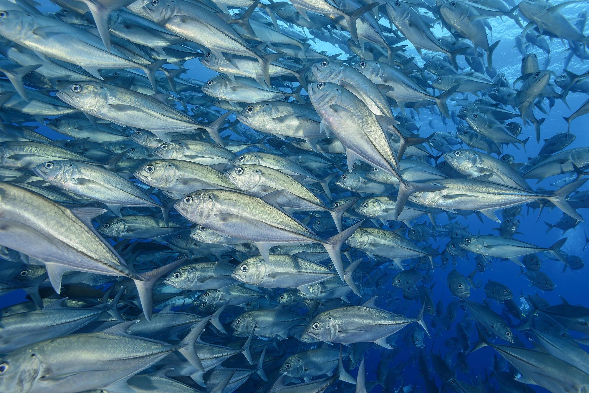 Lekker met een zuurtje