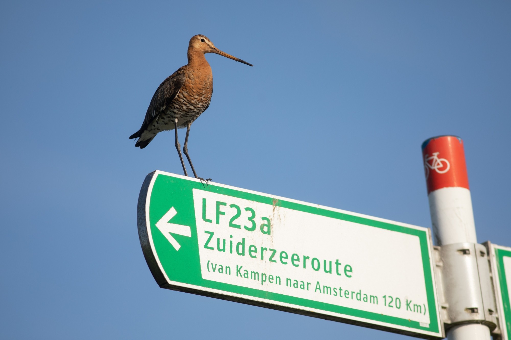 Hoe gaat het nou echt met onze natuur? (Hete Hangijzers 6)