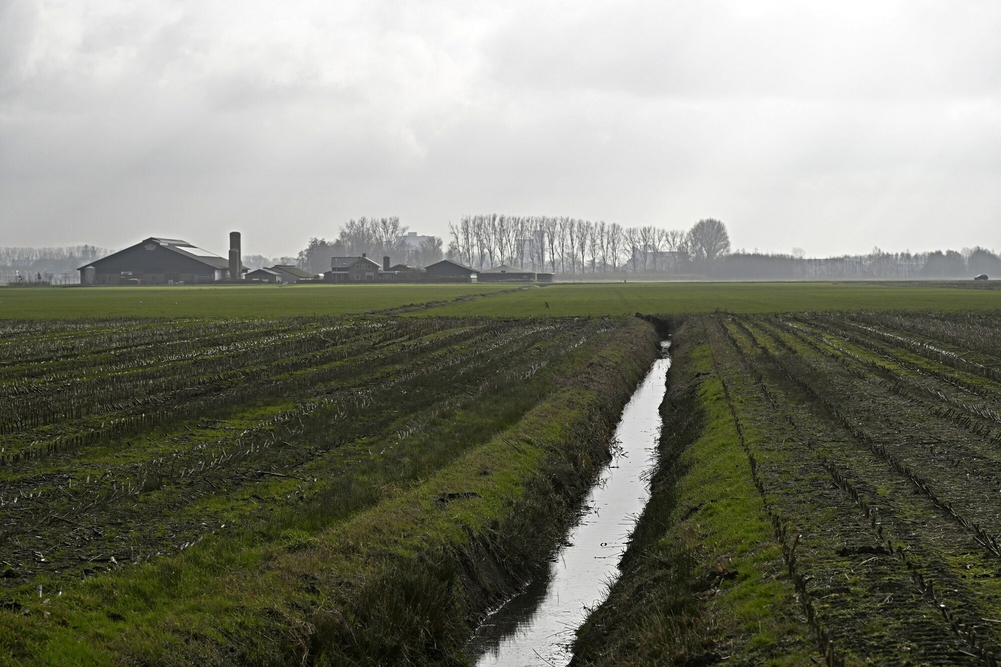 ‘We laten boeren in grote verwarring voortmodderen’ (Hete Hangijzers 4)