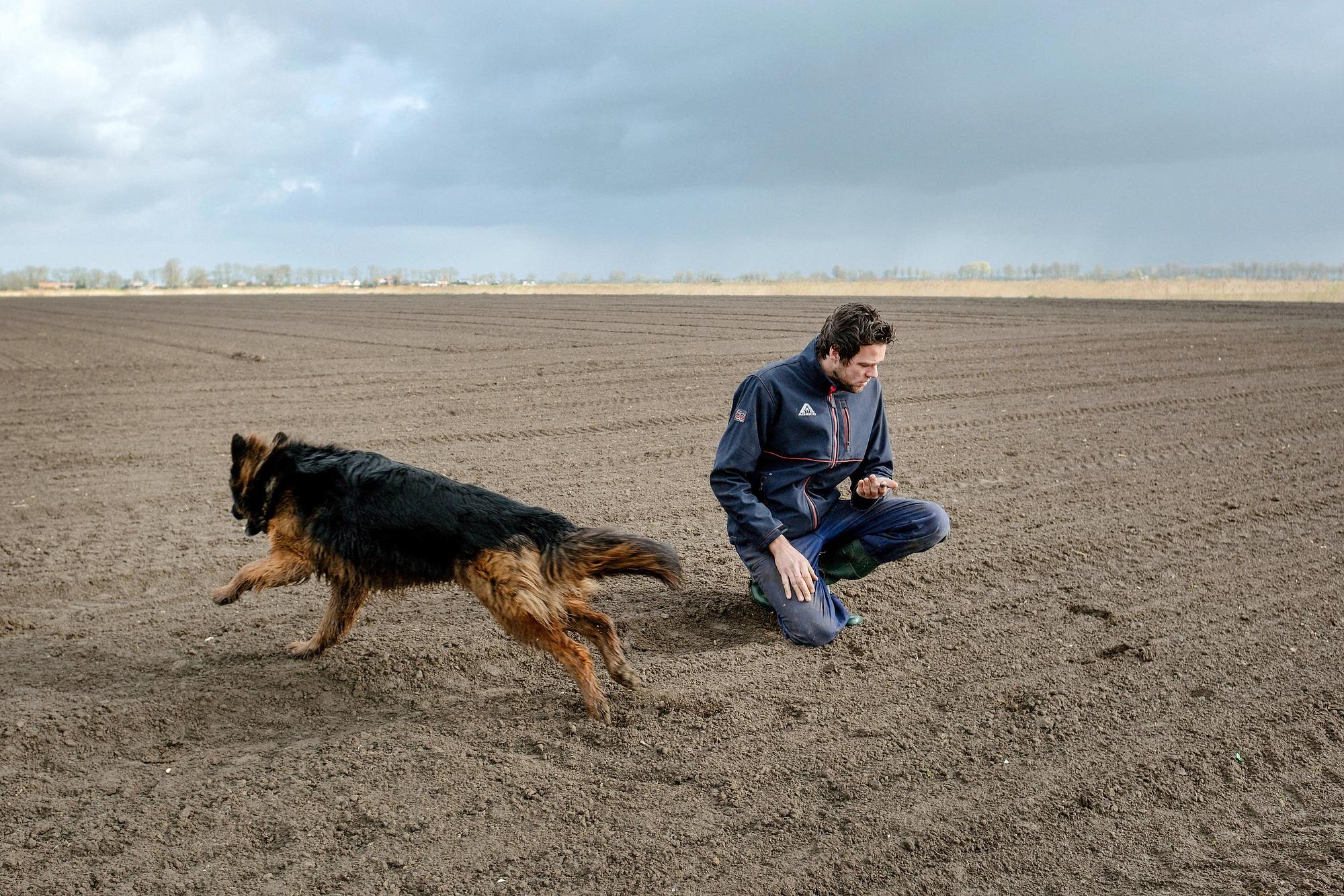 Wie redt de grond van de marktgekte?