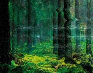 Inleiding bij Paul Kingsnorth